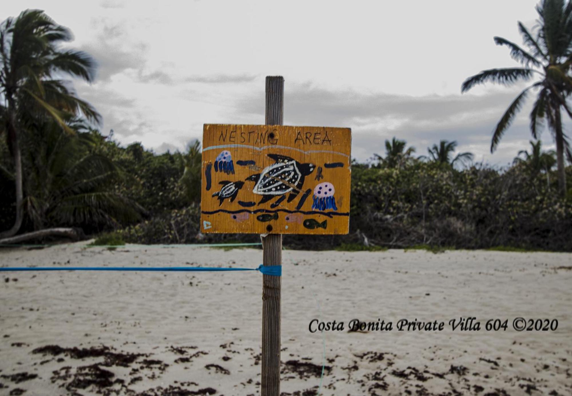 Costa Bonita Private Villa 604 Isla Culebra Zewnętrze zdjęcie